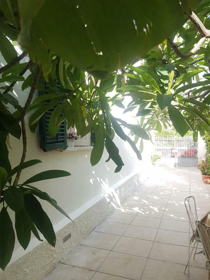 מלון מונדלו Green House Beach מראה חיצוני תמונה